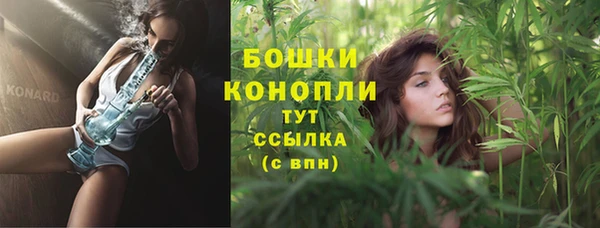 apvp Богданович