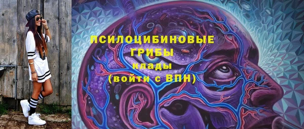мдма Богородск