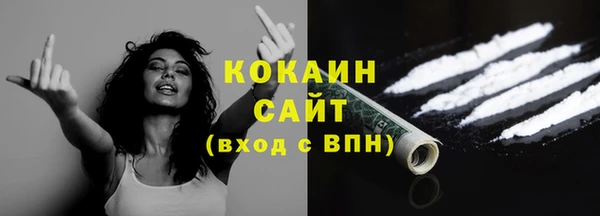 крисы Богородицк