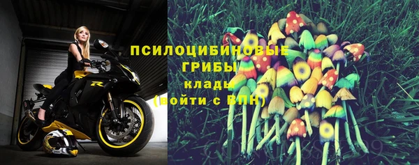 apvp Богданович