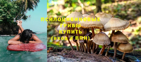 mdpv Беломорск