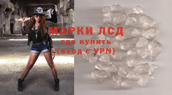 трава Белокуриха