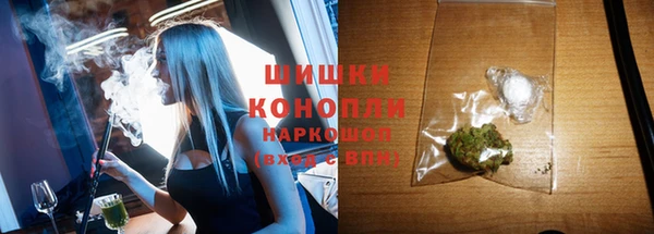 apvp Богданович