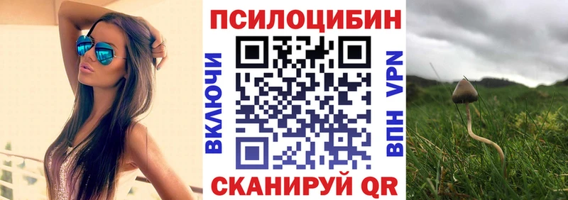 Псилоцибиновые грибы мухоморы  KRAKEN маркетплейс  Донецк  купить наркотики цена 